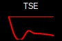 TSE